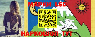 шишки Камышлов