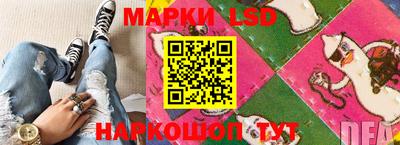 мяу мяу мука Кандалакша