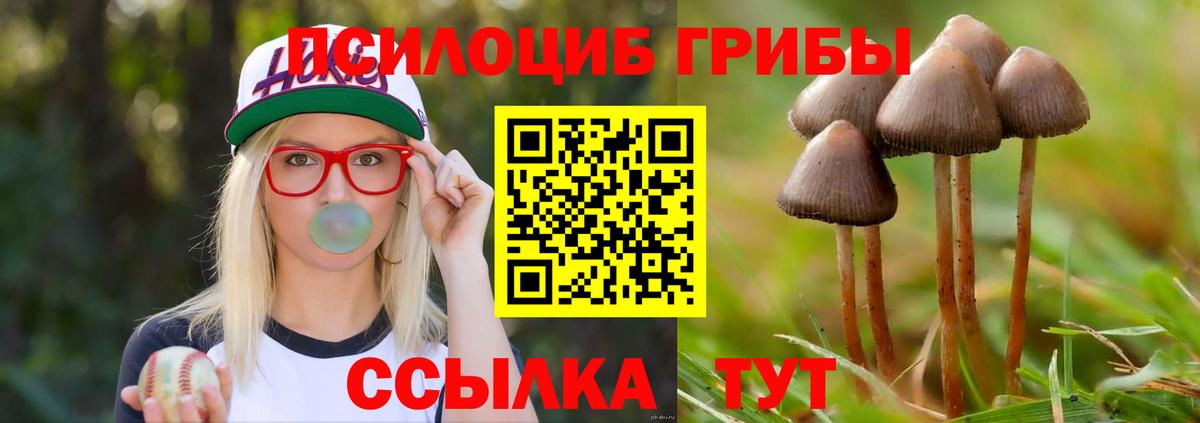 Псилоцибиновые грибы мухоморы  Псилоцибиновые грибы GOLDEN TEACHER  Вход с VPN  Ярцево 